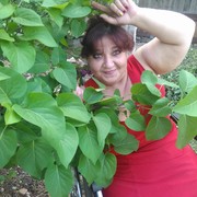  ,   , 56 ,   ,   , c 