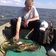 ���������� �����-���������, ���� ������� ����, 48 ���, ������������ ��� ������, ����� � ���������, c�������� ���������