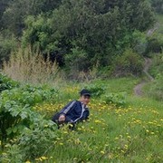 ���������� �������, ���� ������� TOLIBJON, 42 ����, ������������ ��� ������, ����� � ���������, c�������� ���������