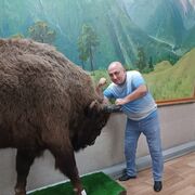 ���������� ���������, ���� ������� ������, 54 ����, ������������ ��� ������, ����� � ���������