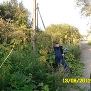 ���������� �����-���������, ���� ������� ������, 41 ���, ������������ ��� ������