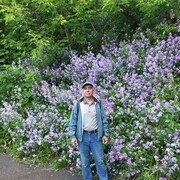  ,   , 52 ,   ,   