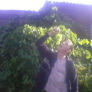 ���������� �����, ���� ������� ��������, 38 ���, ������������ ��� ������, ����� � ���������, c�������� ���������