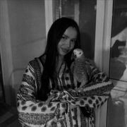 ���������� �������, ������