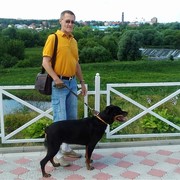  ,   , 62 ,  