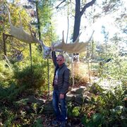 ���������� ��������, ���� ������� ��������, 44 ����, ������������ ��� c�������� ���������, ���������