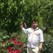 ���������� ������, ���� ������� ����, 39 ���, ������������ ��� ������, ����� � ���������, c�������� ���������