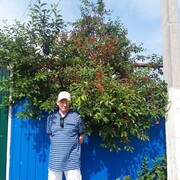 ���������� �������, ���� ������� ����, 53 ����, ������������ ��� ����� � ���������, c�������� ���������