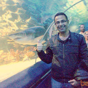  ,   Metin, 47 ,   
