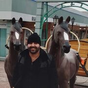 ���������� ������, ���� ������� ������, 38 ���, ������������ ��� ������, ����� � ���������