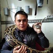  ,   , 37 ,   ,   , c 