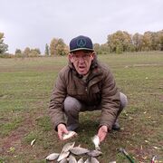  ,   , 72 ,   