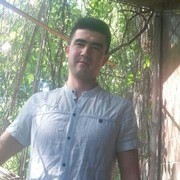  ,   Shaxrux, 33 ,   ,   , c 