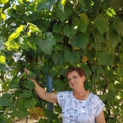 ���������� �����, ���� ������� �������, 58 ���, ������������ ��� ������, ����� � ���������