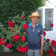 ,   , 71 ,   ,   , c , 