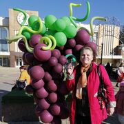 ���������� ������, ���� ������� �������, 62 ����, ������������ ��� c�������� ���������