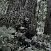 ���������� �����, ���� ������� ���������, 28 ���, ������������ ��� ������, ���������