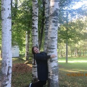 ���������� �����, ���� ������� ������, 55 ���, ������������ 