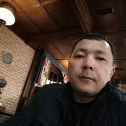  ,   , 51 ,   ,   , c , 