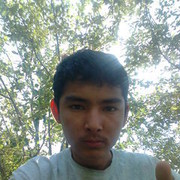 ���������� ���������, ���� ������� ����, 33 ����, ������������ ��� ���������