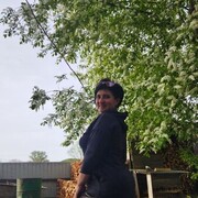  ,   , 44 ,   ,   
