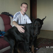 ���������� ���������, ���� ������� �������, 38 ���, ������������ ��� ����� � ���������, c�������� ���������