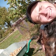 ���������� ������, ���� ������� ����, 29 ���, ������������ ��� ������, ����� � ���������, c�������� ���������