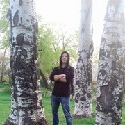  ,   , 37 ,     , c 