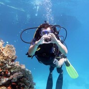 ���������� ���������, ���� ������� �������, 38 ���, ������������ ��� ������, ����� � ���������, c�������� ���������, ���������