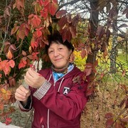 ���������� ����, ���� ������� ���������, 63 ����, ������������ ��� ������, ����� � ���������, c�������� ���������