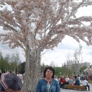  ,   , 50 ,   ,   , c 