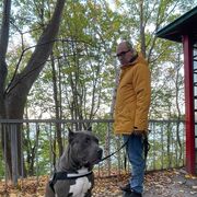 ���������� �����������, ���� ������� ����, 39 ���, ������������ ��� ������, ����� � ���������, c�������� ���������, ���������