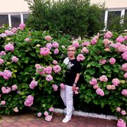 ���������� ��������, ���� ������� �����, 65 ���, ������������ ��� ������, ����� � ���������