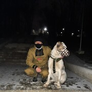 ���������� �������, ���� ������� ������, 43 ����, ������������ ��� ������, ����� � ���������, c�������� ���������