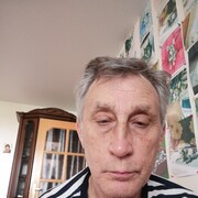  ,   , 81 ,     , c 