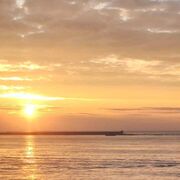 ���������� �����������, ���� ������� ������, 48 ���, ������������ ��� ������, ����� � ���������