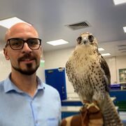 ���������� ������, ���� ������� ������, 35 ���, ������������ ��� ������, ����� � ���������, c�������� ���������, ���������