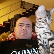 ���������� ����, ���� ������� Kris, 44 ����, ������������ ��� ������, ����� � ���������