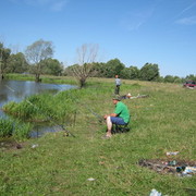 ���������� ������ ��������, ���� ������� �������, 50 ���, ������������ ��� c�������� ���������