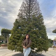 ���������� ���������, ���� ������� �����, 35 ���, ������������ ��� ������, ����� � ���������, c�������� ���������, ���������