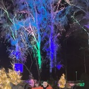 ���������� ���������, ���� ������� ���������, 37 ���, ������������ ��� ������, ����� � ���������