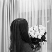 ���������� ���������� �����, �������