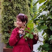  ,   , 52 ,     , c 