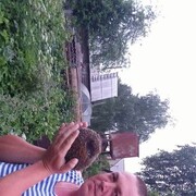  ,   , 51 ,   c , 
