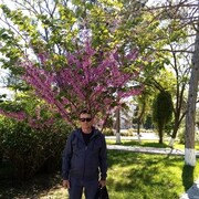  ,   , 66 ,   ,   