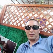  ,   , 41 ,   ,   
