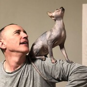 ���������� ���������, ���� ������� ���������, 50 ���, ������������ ��� ������, ����� � ���������