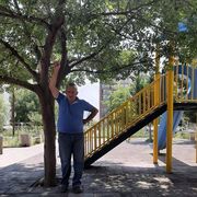  Stara Kiszewa,  david, 50