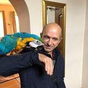 ���������� �����-���������, ���� ������� ������, 58 ���, ������������ ��� ������, ����� � ���������