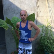  ,   Vitos, 35 ,   ,   , c 
